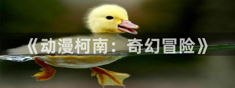 免费动漫天堂之吻：《动漫柯南：奇幻冒险》